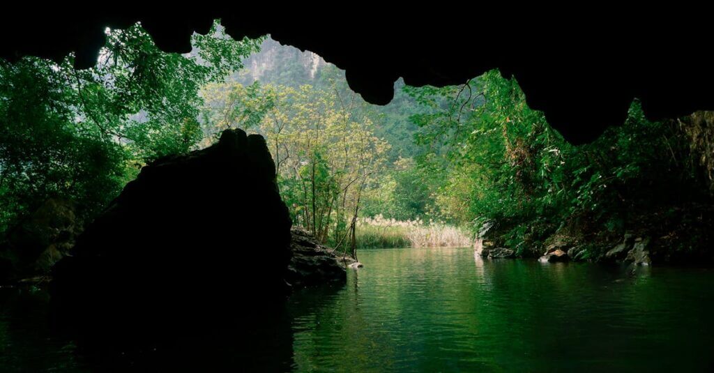 Phong Nha-Kẻ Bàng National Park, Vietnam
