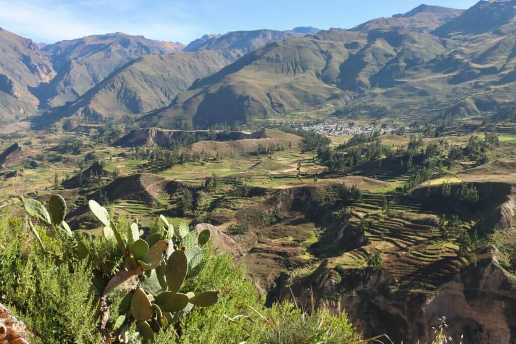 Arequipa & Colca Canyon