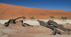 Deadvlei bomen en rode duinen in Sossusvlei
