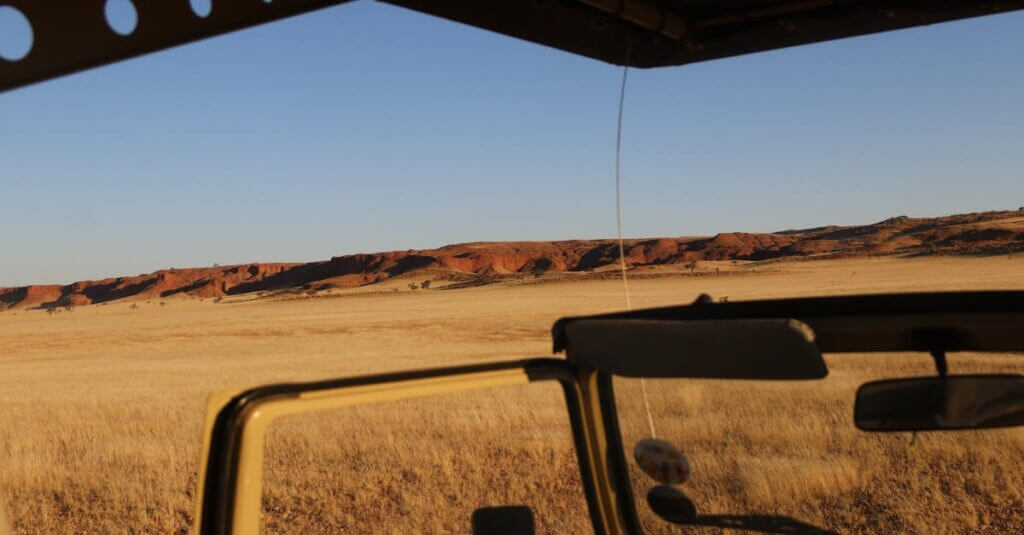 Woestijnolifant in Damaraland