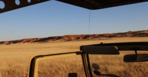 Woestijnolifant in Damaraland
