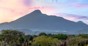 Weelderige groene heuvels in de Usambara Mountains bij Lushoto