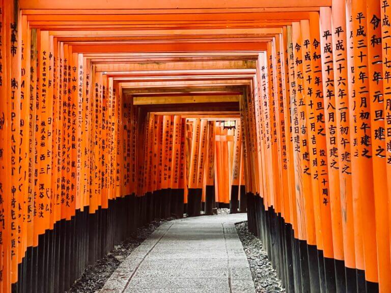 3 weken – Cultuurroute door Japan: van neon tot samoerai