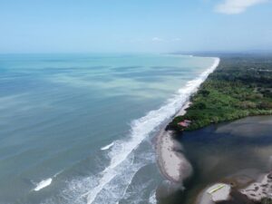Strand van Palomino met palmbomen en de wilde Caribische zee