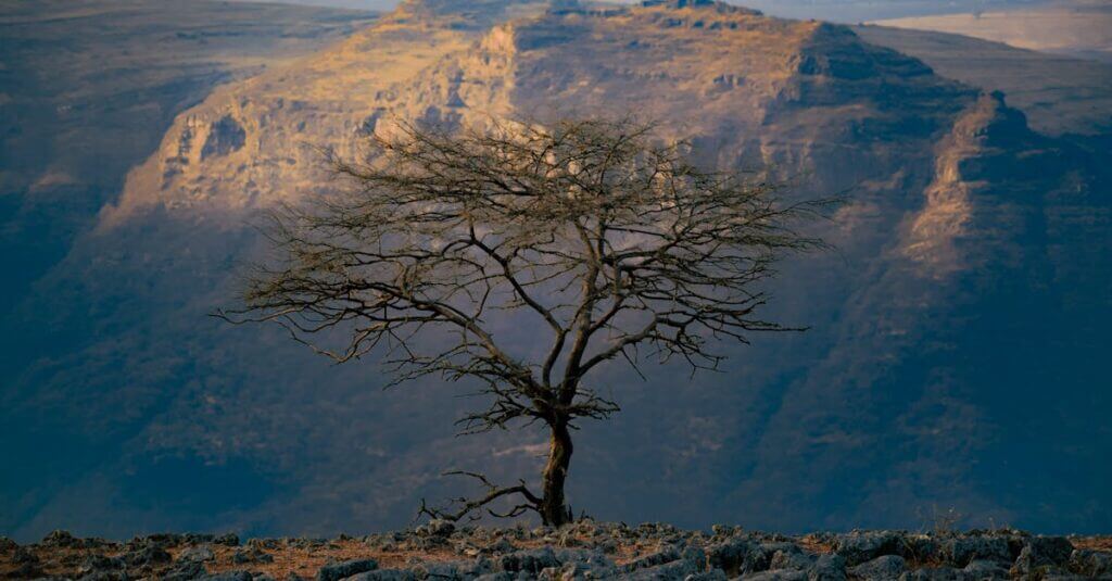 Dramatisch landschap van de Simien Mountains