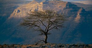 Dramatisch landschap van de Simien Mountains