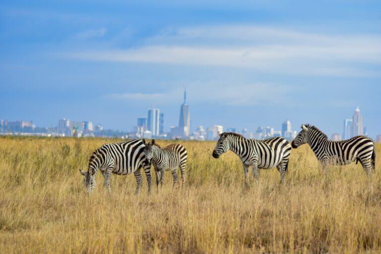 60 dagen Nairobi naar Kaapstad: Overland Route
