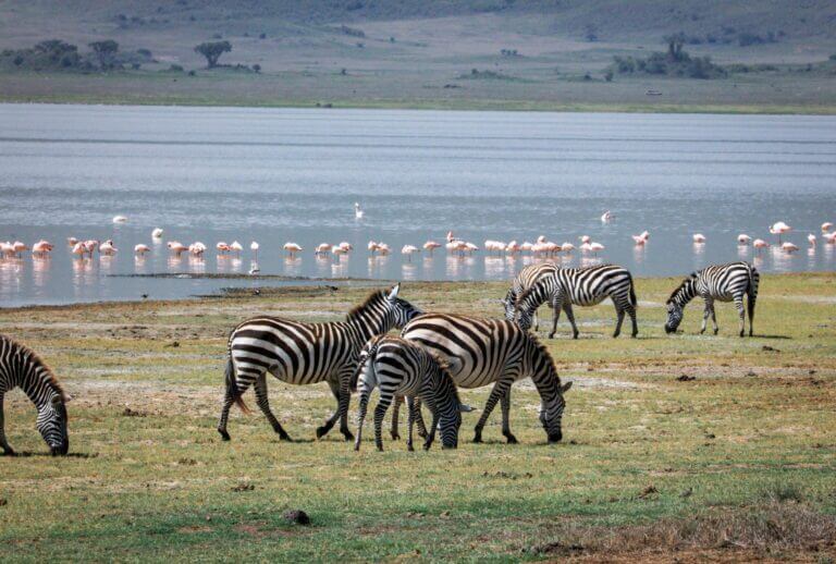 7 dagen Tanzania