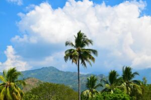 Strand en dichte jungle in Tayrona Nationaal Park, Colombia
