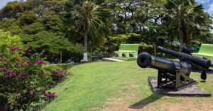 Uitgestrekte felgroene theeplantages rondom Fort Portal