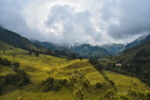Valle de Cocora