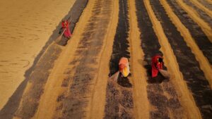 Zonsondergang met kamelen op Cable Beach in Broome