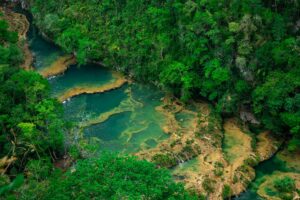 De turquoise kalksteenpoelen van Semuc Champey in de jungle van Guatemala