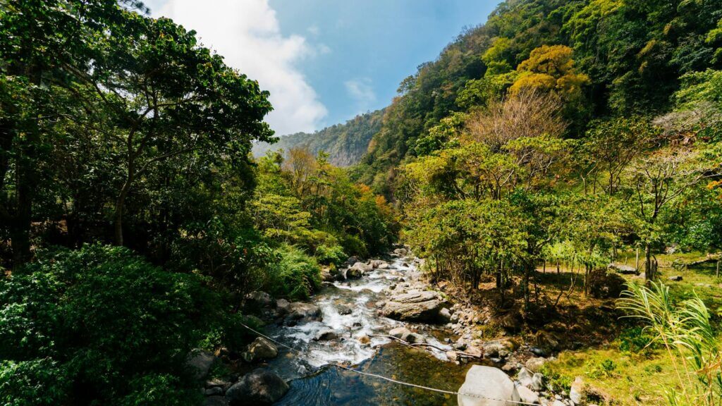 De groene bergen en nevelwouden rondom Boquete in Panama