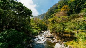 De groene bergen en nevelwouden rondom Boquete in Panama