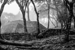 Een rode ara bij de Maya ruïnes van Copan in Honduras