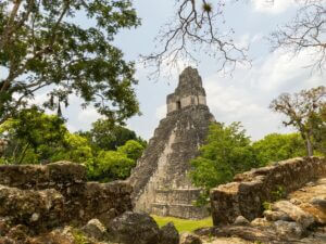 Maya tempels van Tikal in de jungle van Guatemala