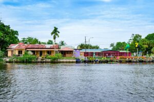 Dichte jungle en een rivier in het Cayo District, Belize