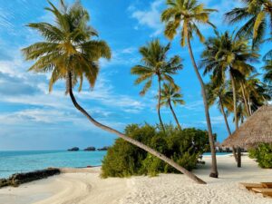 Houten steiger en helder water bij Caye Caulker, Belize