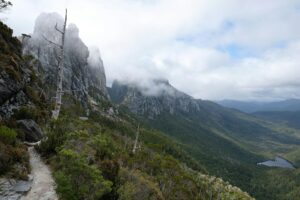 Breathtaking view of mountains and forest in Tasmania, perfect for hiking and exploration.