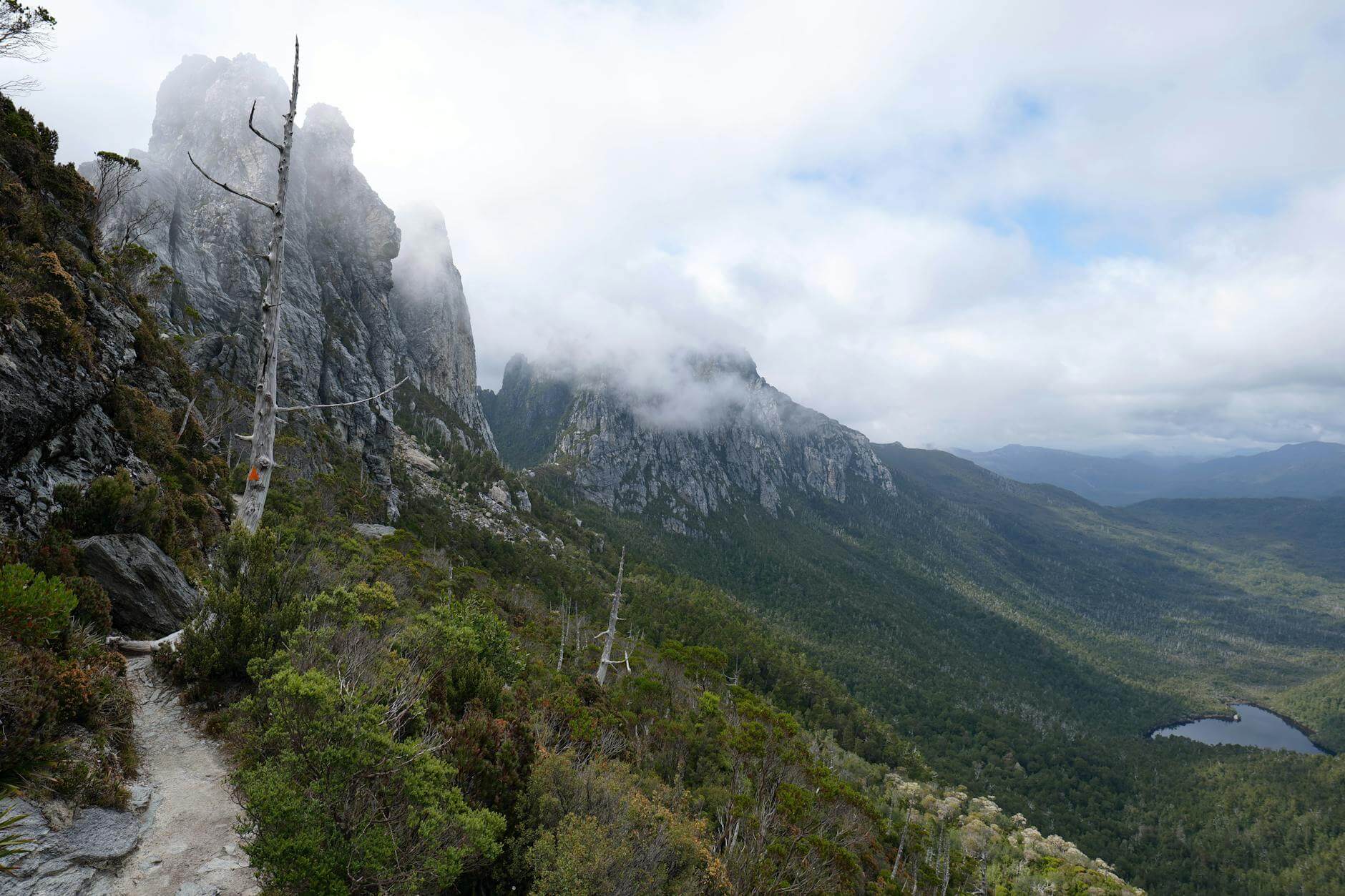 Breathtaking view of mountains and forest in Tasmania, perfect for hiking and exploration.