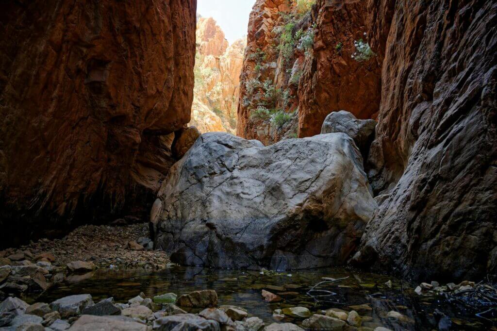 Uitzicht over de woestijn bij Alice Springs
