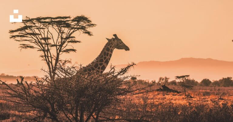 Kenia