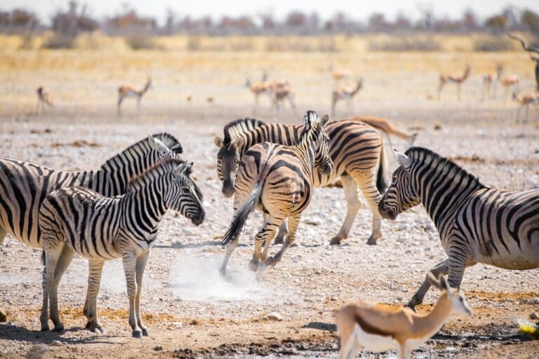 Namibië